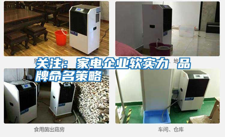 關注:家電企業軟實力 品牌命名策略