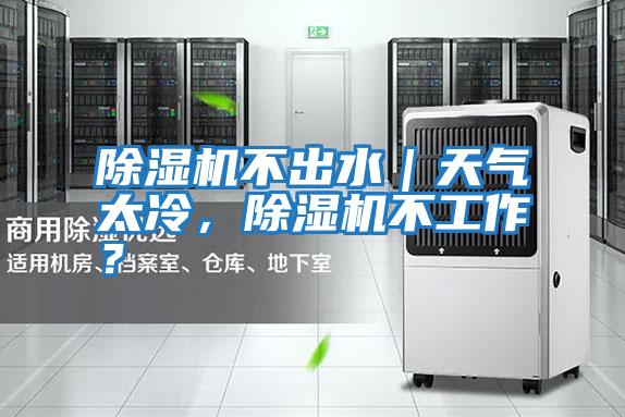 除濕機(jī)不出水｜天氣太冷，除濕機(jī)不工作？