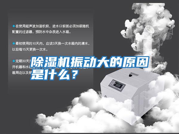 除濕機振動大的原因是什么？