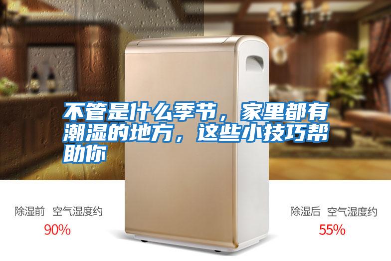 不管是什么季節(jié)，家里都有潮濕的地方，這些小技巧幫助你