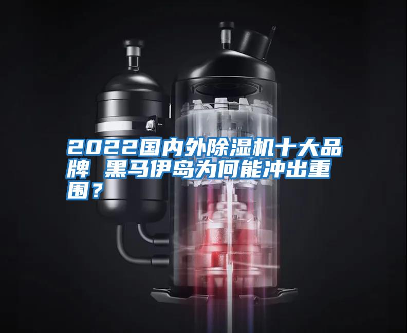 2022國(guó)內(nèi)外除濕機(jī)十大品牌 黑馬伊島為何能沖出重圍？