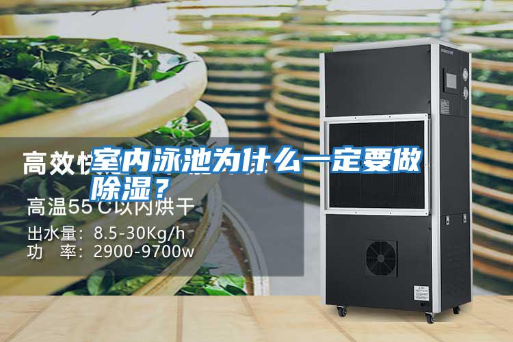 室內泳池為什么一定要做除濕?