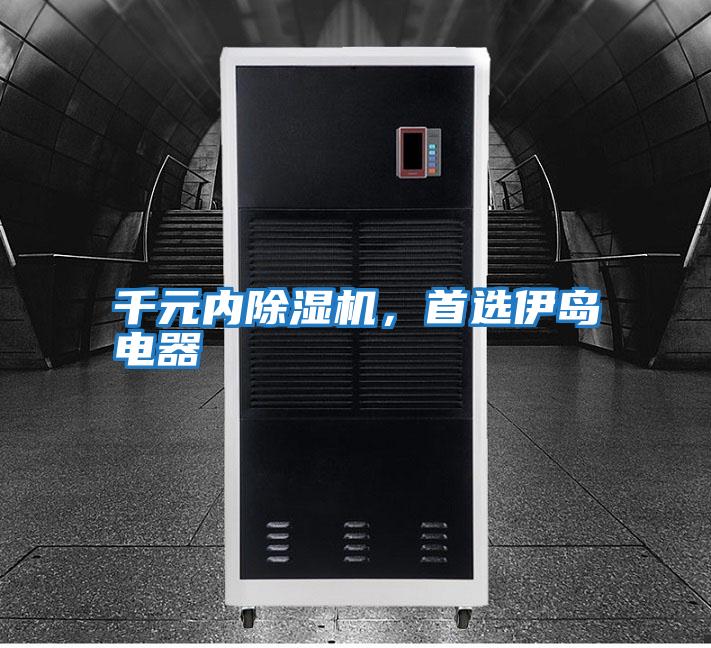 千元內(nèi)除濕機,首選伊島電器