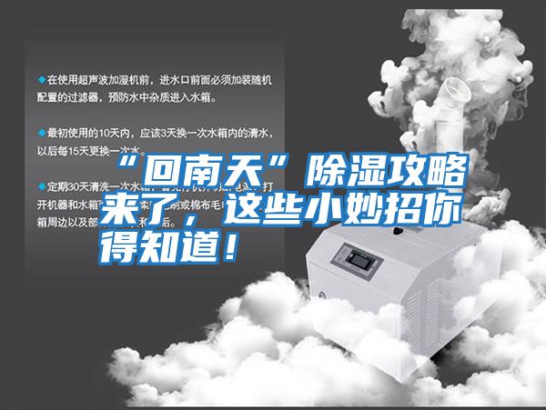 “回南天”除濕攻略來(lái)了，這些小妙招你得知道！
