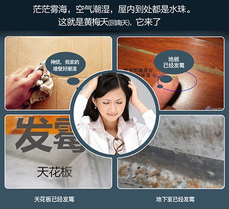 醫(yī)藥產(chǎn)品的倉儲環(huán)境對溫濕度要求高,工業(yè)除濕機(jī)提供解決方案