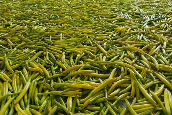 無硫金針菜烘干如何保持品相？不發黑？