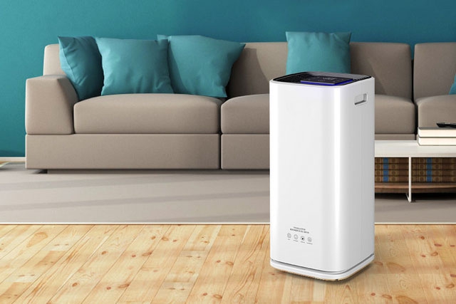 室內怎么防蟲防潮才有效？