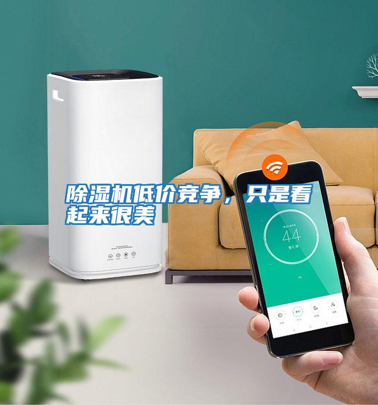 除濕機(jī)低價(jià)競爭，只是看起來很美