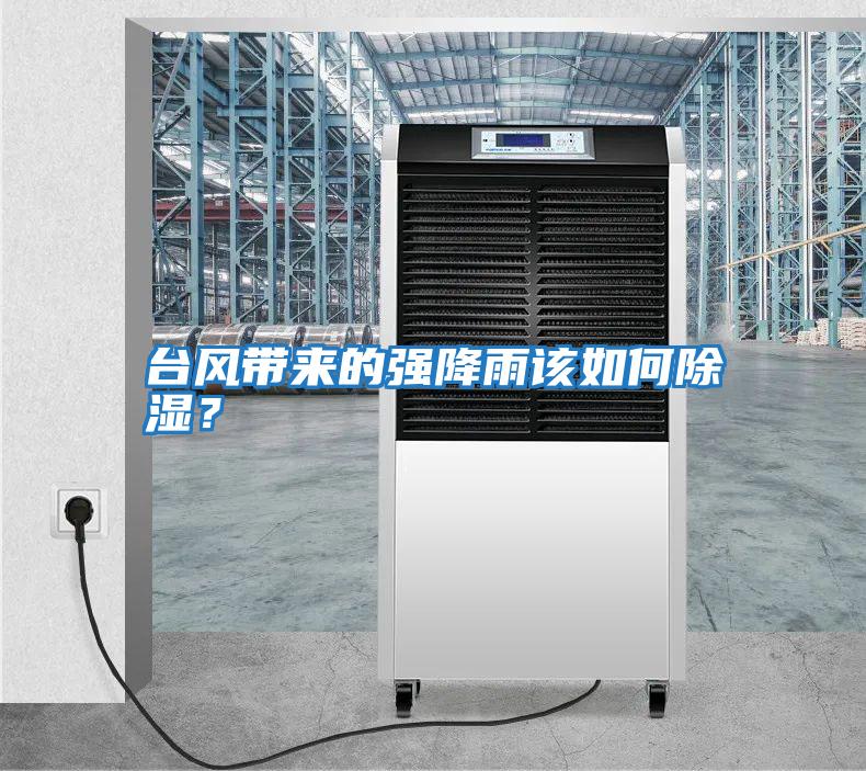 臺風(fēng)帶來的強(qiáng)降雨該如何除濕？