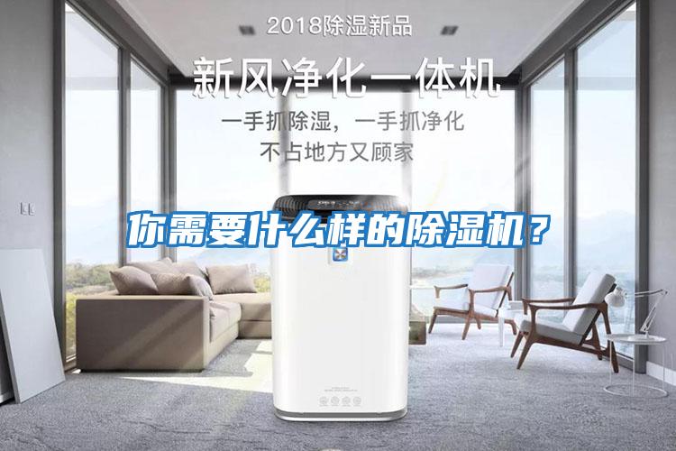 你需要什么樣的除濕機(jī)？