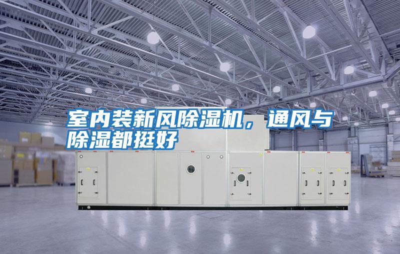室內裝新風除濕機,通風與除濕都挺好