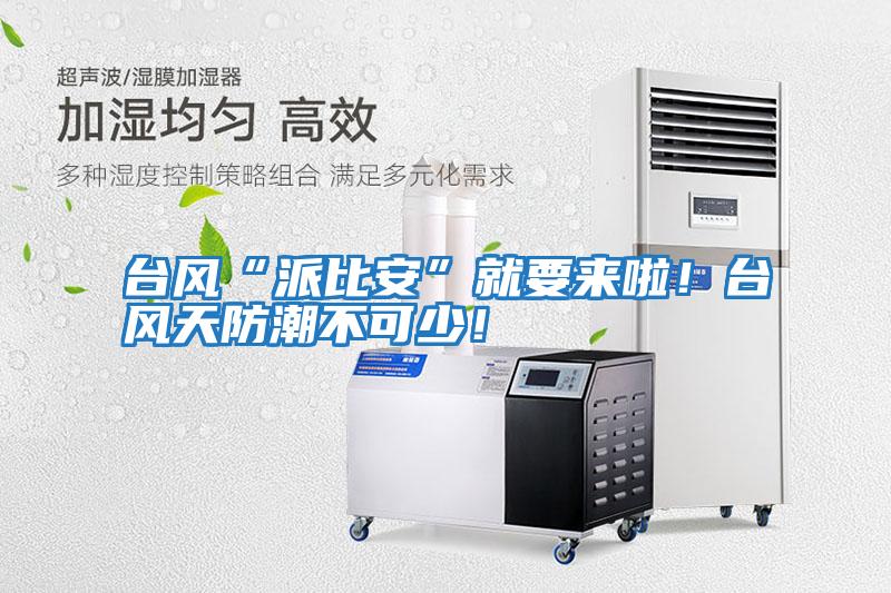 臺風“派比安”就要來啦！臺風天防潮不可少！