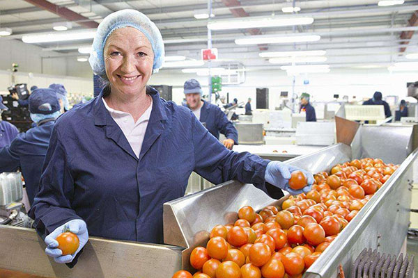 食品加工行業中除濕機的地位有多重要_重復