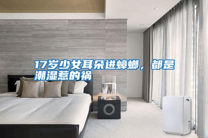 17歲少女耳朵進蟑螂，都是潮濕惹的禍