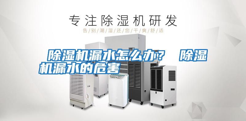  除濕機漏水怎么辦？ 除濕機漏水的危害