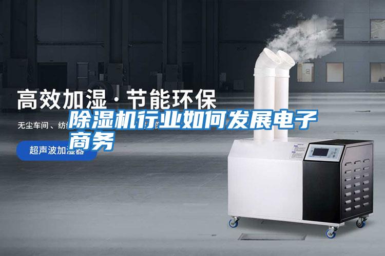 除濕機行業(yè)如何發(fā)展電子商務(wù)