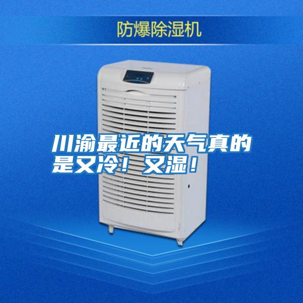 川渝最近的天氣真的是又冷！又濕！