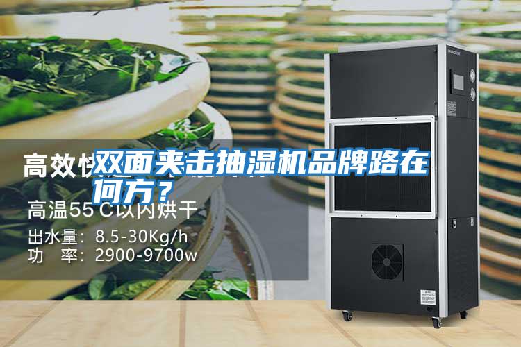 雙面夾擊抽濕機品牌路在何方？