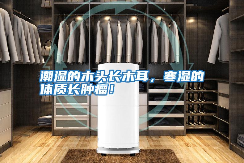 潮濕的木頭長木耳，寒濕的體質(zhì)長腫瘤！