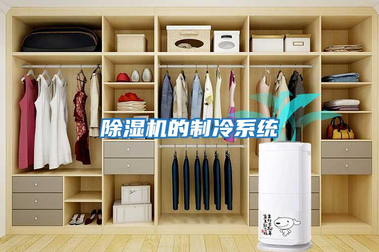 除濕機的制冷系統(tǒng)