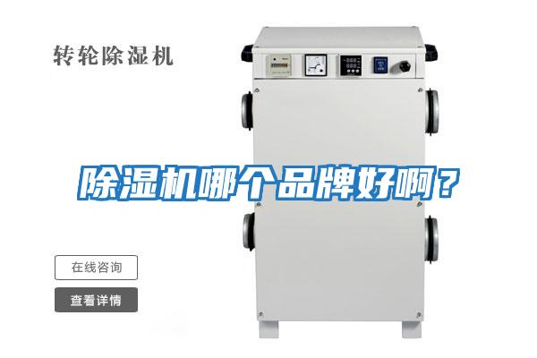 除濕機(jī)哪個(gè)品牌好啊？