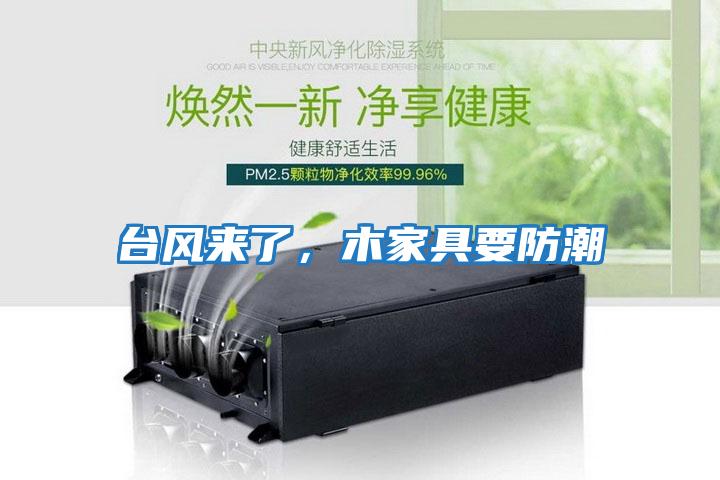 臺風(fēng)來了,木家具要防潮