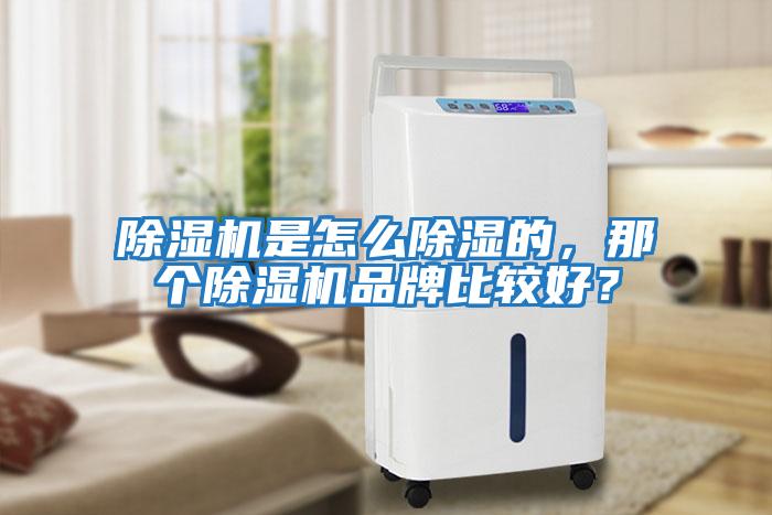 除濕機(jī)是怎么除濕的，那個(gè)除濕機(jī)品牌比較好？