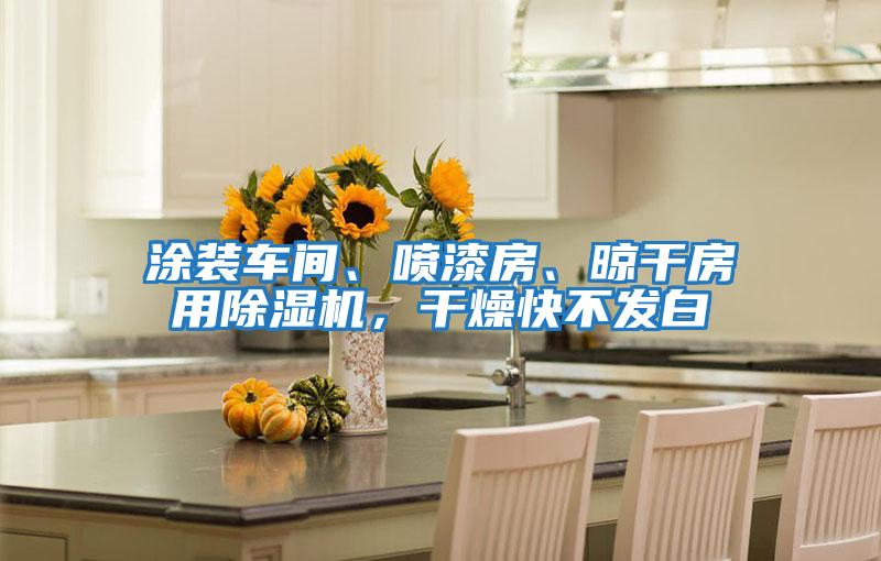 涂裝車間、噴漆房、晾干房用除濕機，干燥快不發白