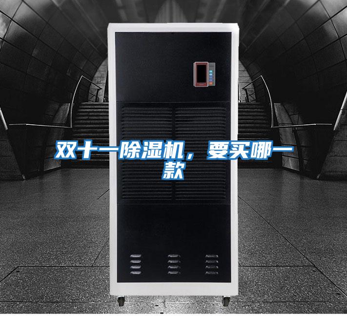 雙十一除濕機(jī)，要買哪一款