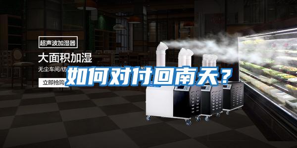 如何對付回南天?