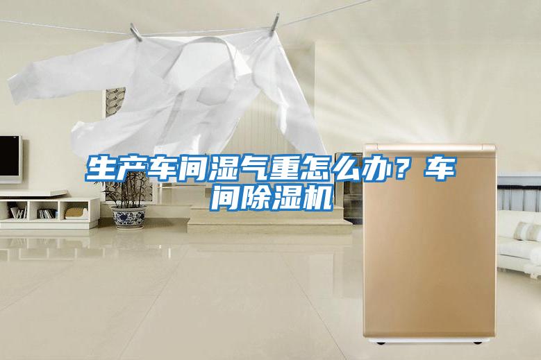 生產(chǎn)車間濕氣重怎么辦?車間除濕機(jī)