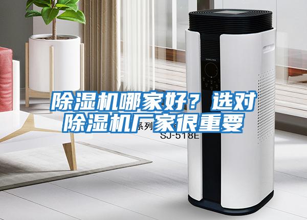 除濕機哪家好？選對除濕機廠家很重要