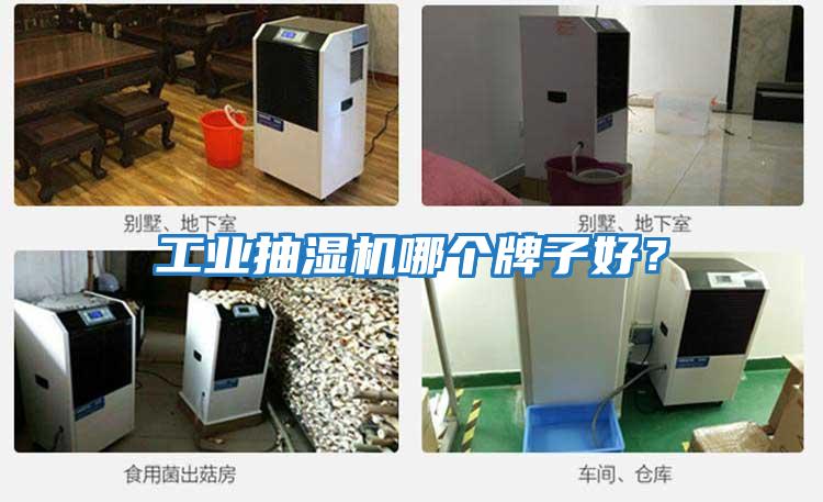 工業抽濕機哪個牌子好？