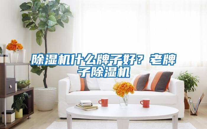 除濕機什么牌子好?老牌子除濕機