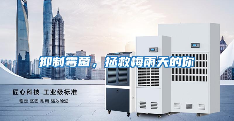 抑制霉菌，拯救梅雨天的你