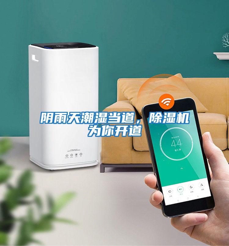 陰雨天潮濕當(dāng)?shù)?，除濕機(jī)為你開道