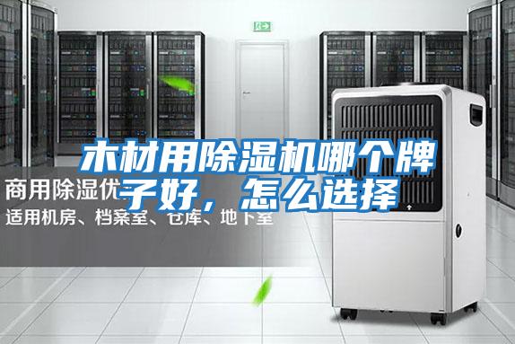 木材用除濕機(jī)哪個牌子好,怎么選擇