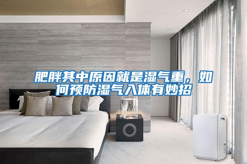 肥胖其中原因就是濕氣重，如何預防濕氣入體有妙招