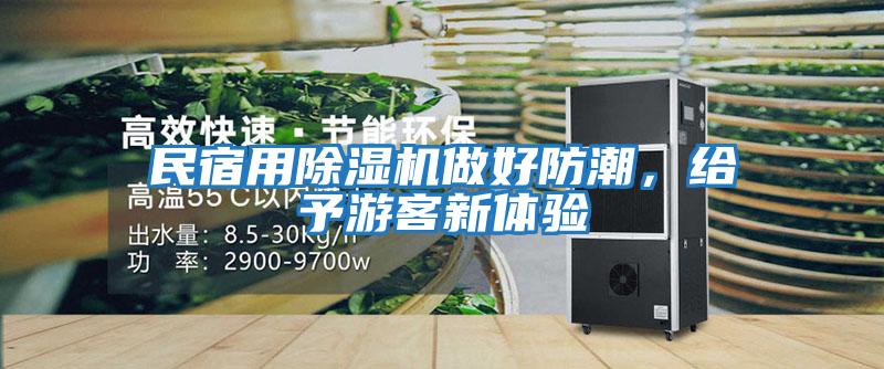 民宿用除濕機做好防潮,給予游客新體驗