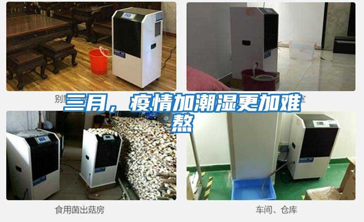 三月，疫情加潮濕更加難熬