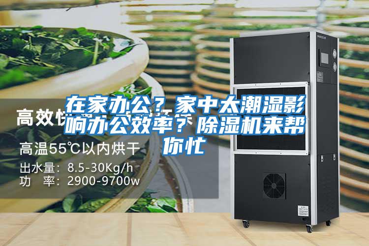 在家辦公?家中太潮濕影響辦公效率?除濕機來幫你忙