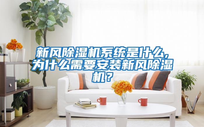 新風除濕機系統是什么,為什么需要安裝新風除濕機？