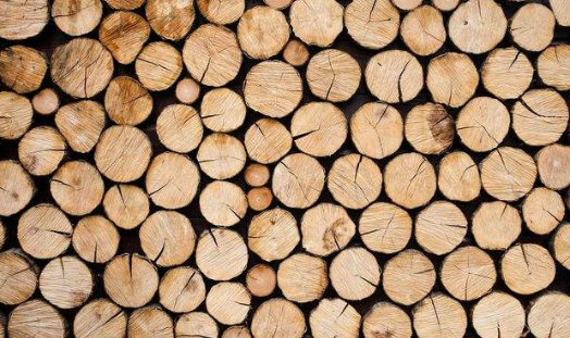 木材烘干除濕機(jī)哪個(gè)牌子好,怎么選擇