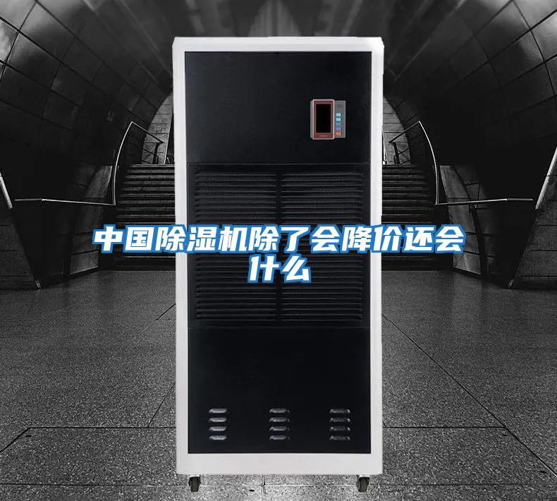 中國(guó)除濕機(jī)除了會(huì)降價(jià)還會(huì)什么