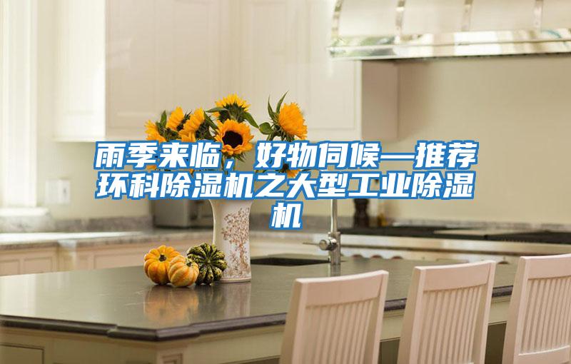 雨季來臨,好物伺候—推薦環(huán)科除濕機(jī)之大型工業(yè)除濕機(jī)