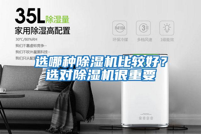 選哪種除濕機比較好?選對除濕機很重要