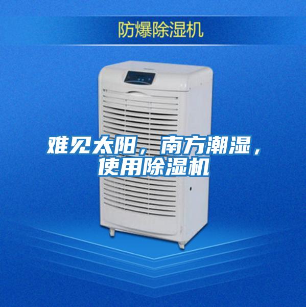 難見太陽,南方潮濕,使用除濕機
