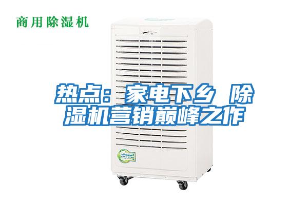 熱點:家電下鄉 除濕機營銷巔峰之作