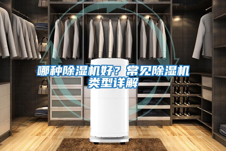 哪種除濕機好？常見除濕機類型詳解