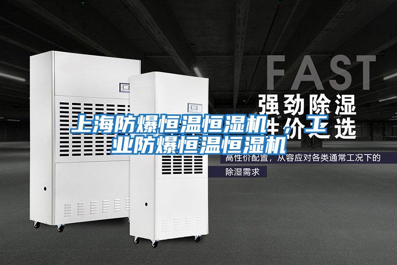 上海防爆恒溫恒濕機 ，工業防爆恒溫恒濕機